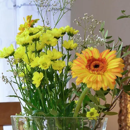 In Nahe Dem Skigebiet