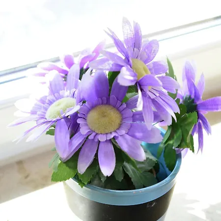 In Nahe Dem Skigebiet *