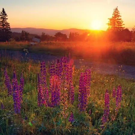 Daire In Nahe Dem Skigebiet *