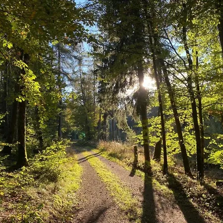 Daire In Nahe Dem Skigebiet