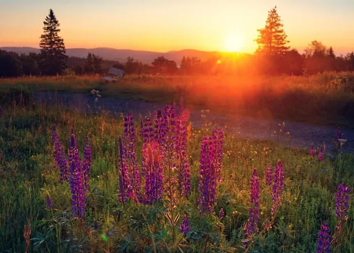 Daire In Nahe Dem Skigebiet *